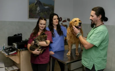 Vezetőként egyedül lenni – és mi segíthet ebből a magányból kilépni?